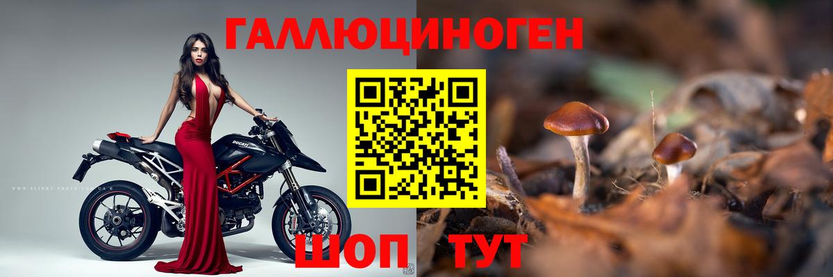 Псилоцибиновые грибы Magic Shrooms Красногорск